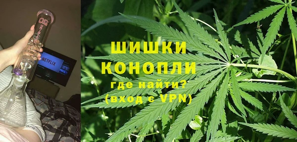 PSILOCYBIN Кулебаки