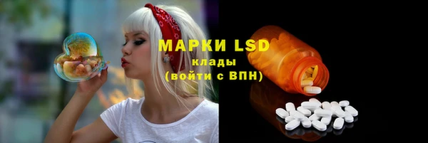 PSILOCYBIN Кулебаки