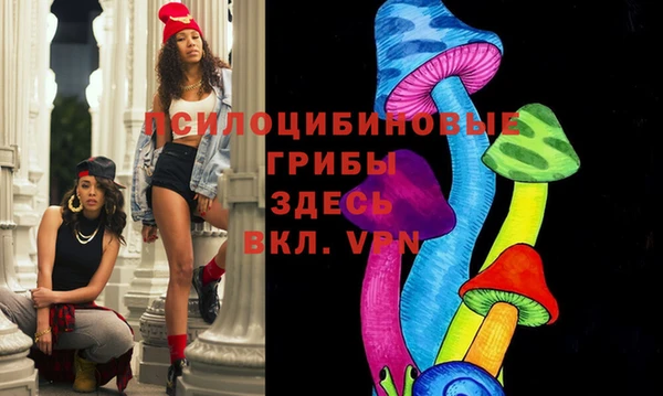 амф Крымск