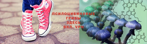 прущие крисы Куйбышев