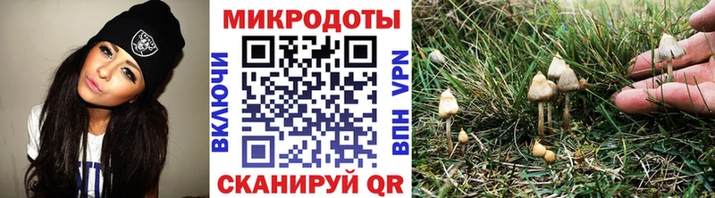 Псилоцибиновые грибы мицелий что такое наркотик Малгобек