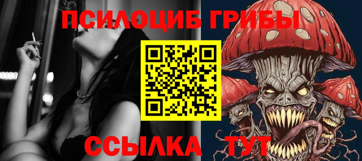 Малгобек  Галлюциногенные грибы Psilocybine cubensis  Вход с VPN  магазин продажи наркотиков  Галлюциногенные грибы прущие грибы 
