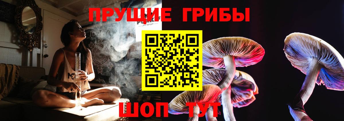 Галлюциногенные грибы мицелий Малгобек